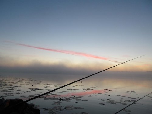 IMG_7984.JPG (46.14 КБ) 19600 просмотров Примерно в это время напарник ловит своего Линя!