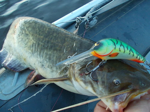DSCN6857.JPG