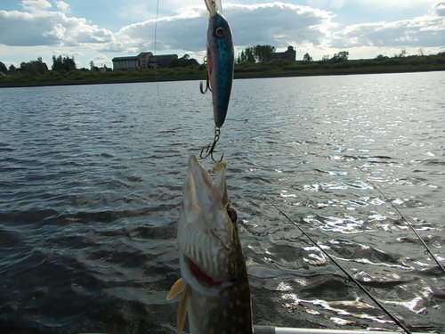 DSCN6851.JPG