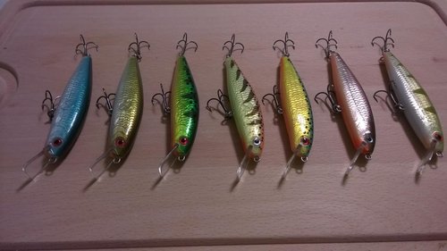 WP_20150620_022.jpg