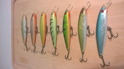 WP_20150620_020.jpg