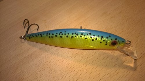 WP_20150620_026.jpg