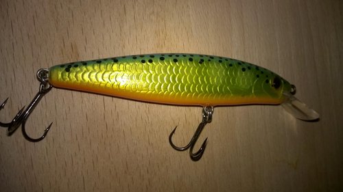WP_20150620_031.jpg
