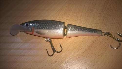 WP_20150620_009.jpg
