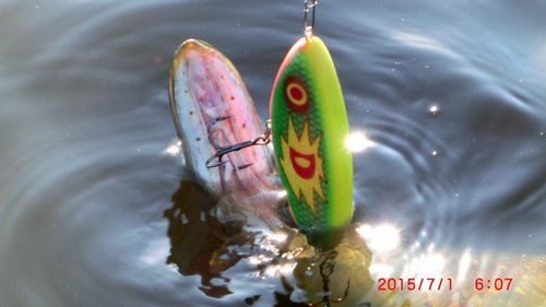 CIMG3025.JPG (76.7 КБ) 3835 просмотров CIMG3025.JPG