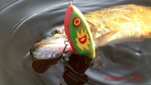 CIMG3028.JPG (77.64 КБ) 3835 просмотров CIMG3028.JPG