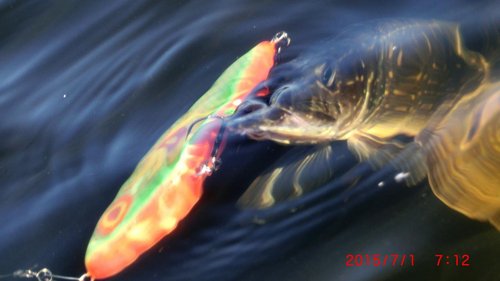 CIMG3055.JPG (67.42 КБ) 3835 просмотров CIMG3055.JPG