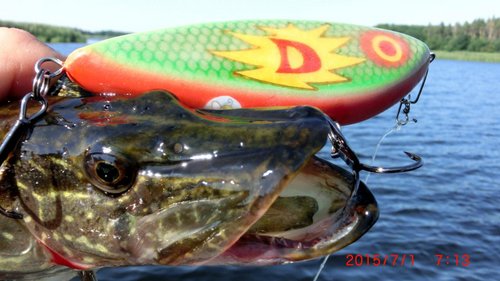 CIMG3057.JPG (115.51 КБ) 3835 просмотров CIMG3057.JPG