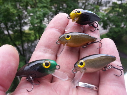 20150708_143735.jpg