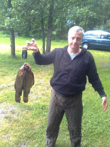 Фото0128.jpg (87.99 КБ) 29568 просмотров Были в Таммисаари сразу после Иванова дня. Результат :16 линей на удочку. Каждый весом по 1,5 кг. И множество мелкой килошной щуки.