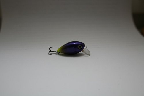 IMG_9780.JPG