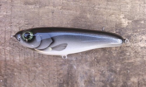 nemo.jpg
