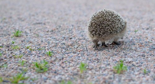 DSC_0894.JPG (120.08 КБ) 5454 просмотра Ну я пошел - дела! Пока!