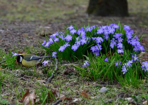 DSC_0383.JPG