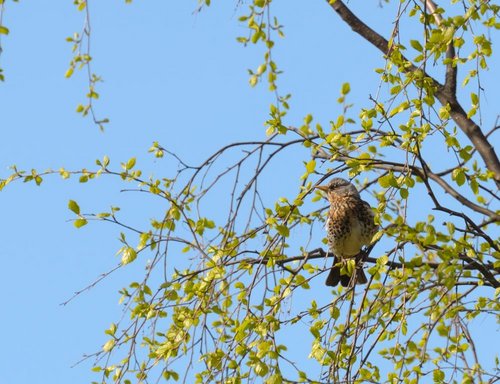 DSC_3572.JPG