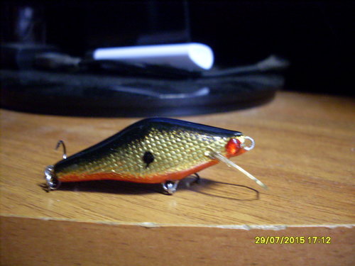 SDC10089.JPG