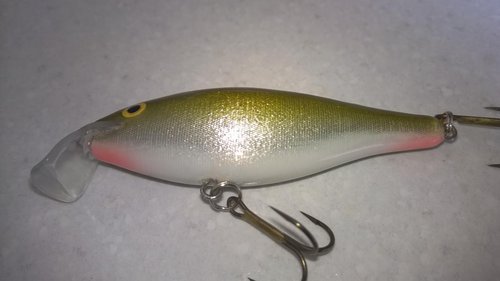 WP_20150812_006.jpg