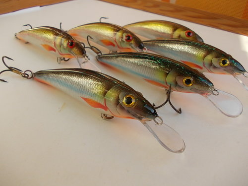 DSCN6572.JPG