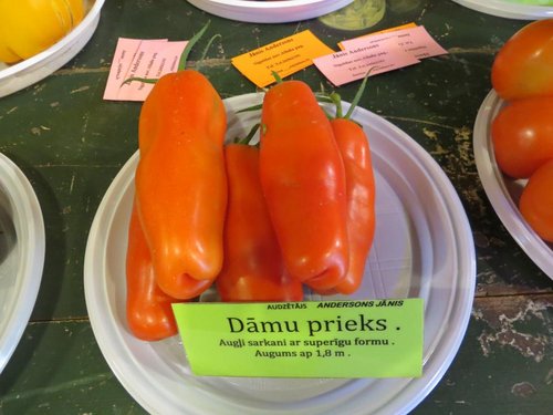 IMG_7707.JPG (82.74 КБ) 5086 просмотров Дамская радость