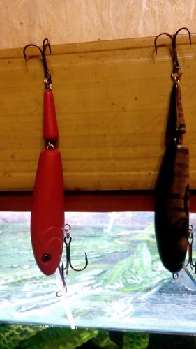 IMG_20150713_201817.jpg