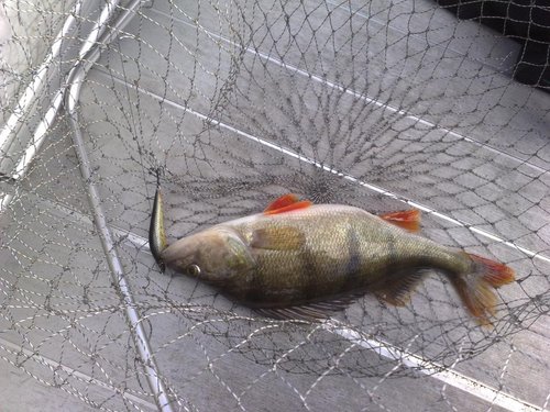 290920151262.jpg