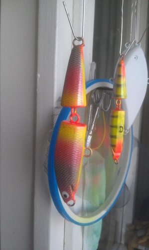 IMAG0081.jpg