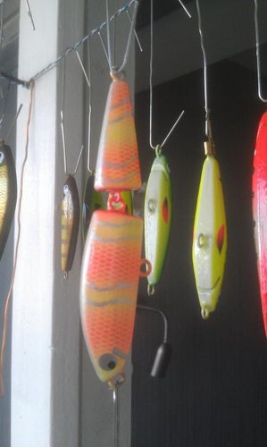 IMAG0082.jpg