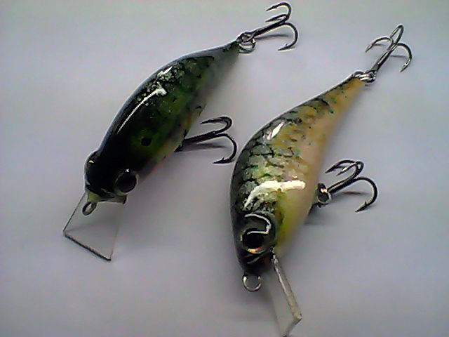 Snapshot_20110408_8.jpg