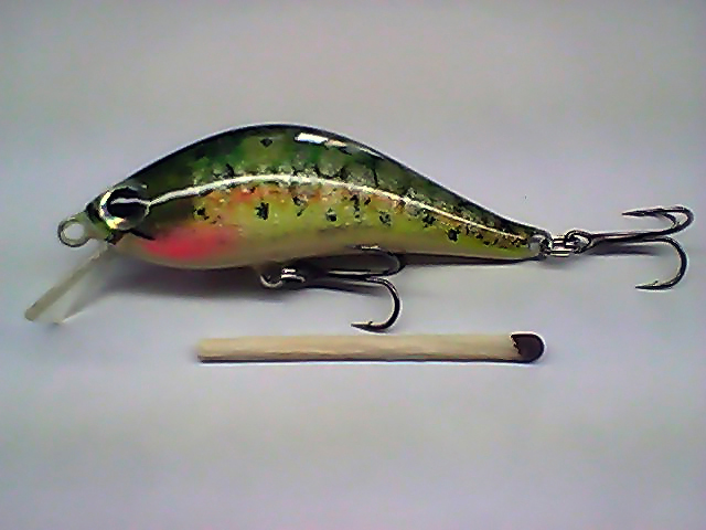 Snapshot_20110408_30.jpg