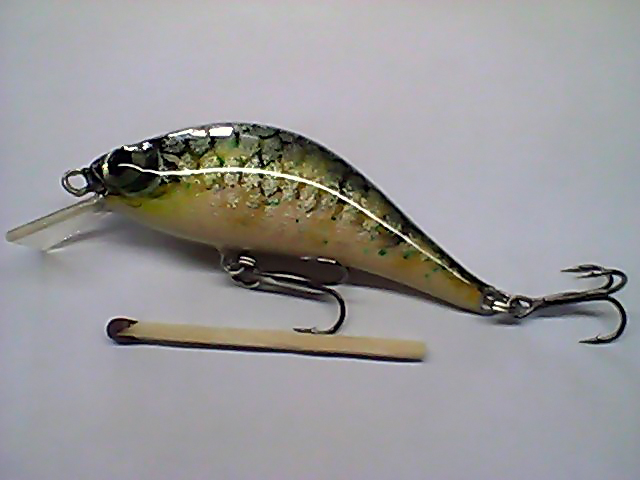 Snapshot_20110408_39.jpg