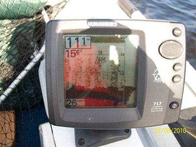 100_2321.jpg