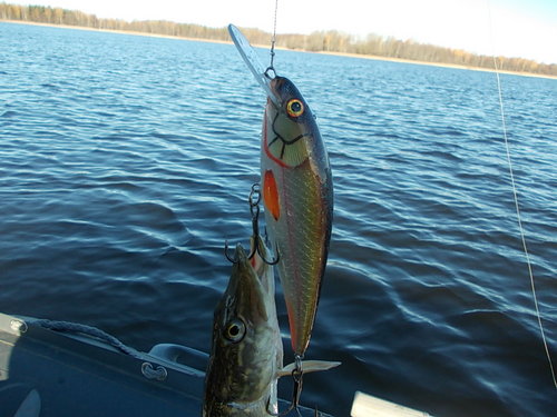 DSCN7458.JPG