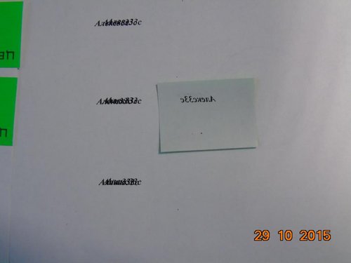 DSC00901.JPG