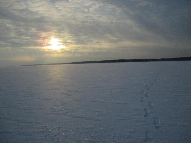 IMG_0559.jpg
