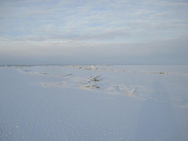 IMG_0563.jpg