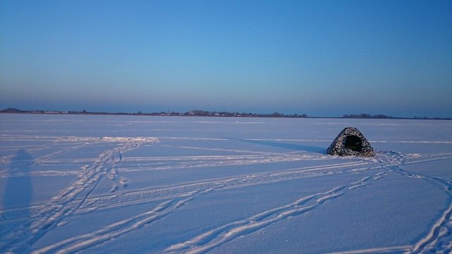 DSC_0313.JPG