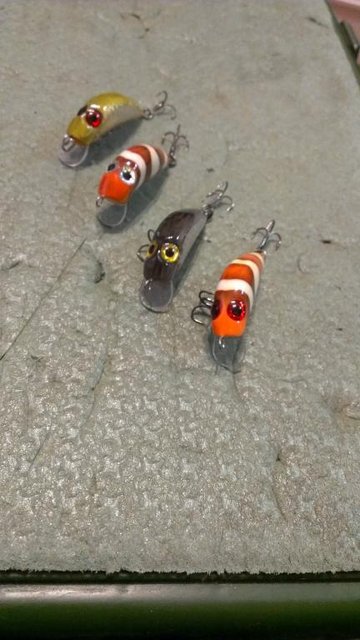 IMAG0151.jpg