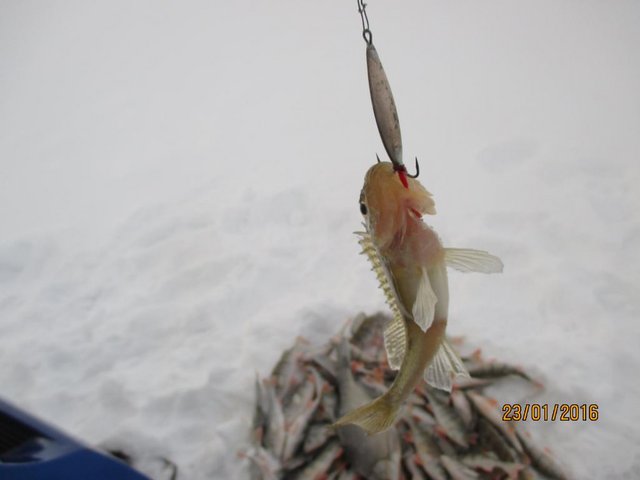 IMG_0579.jpg