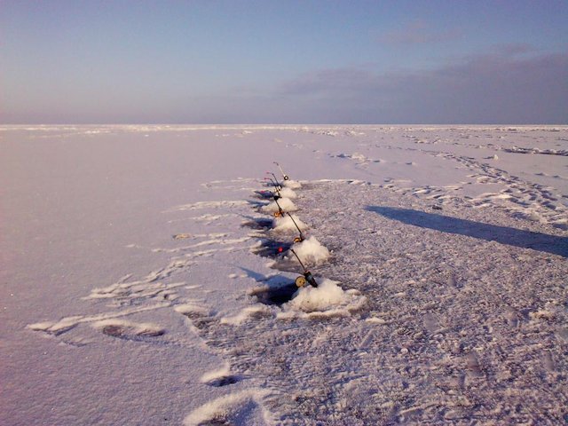 IMG00097.jpg