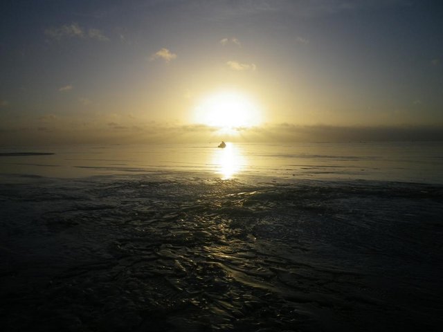 IMGP2844.JPG