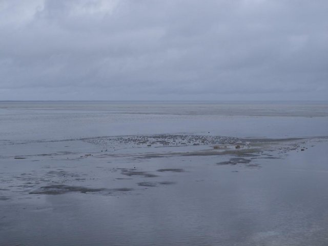 IMGP2851.JPG
