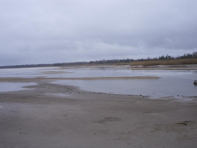 IMGP2849.JPG