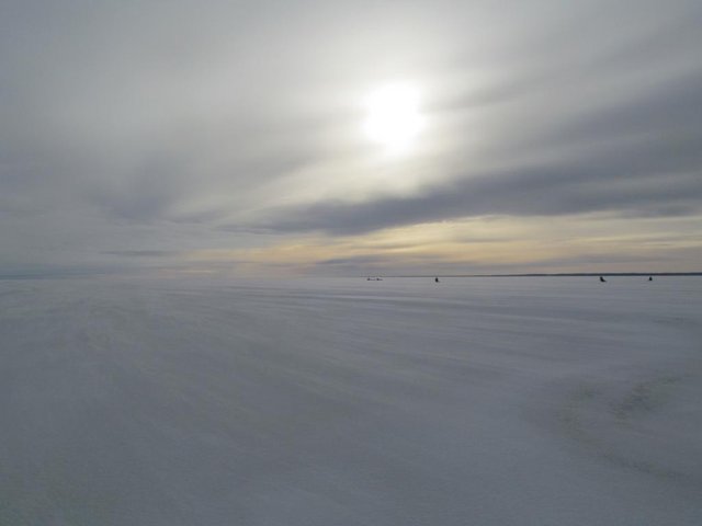 IMG_8426.JPG