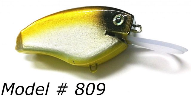 № 809.jpg