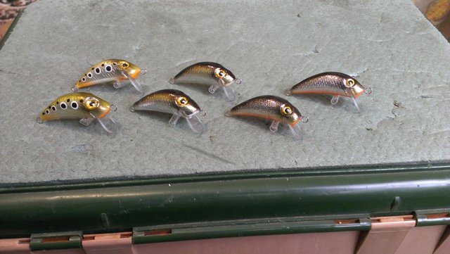 IMAG0276.jpg