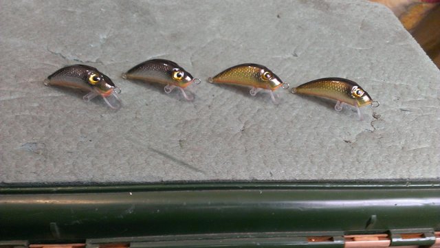 IMAG0270.jpg