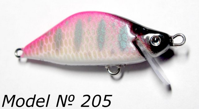 # 205.JPG
