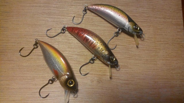 IMG_20160221_161340.jpg