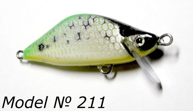# 211.JPG