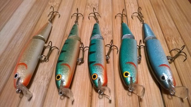 WP_20160223_002.jpg